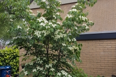 20170608_080009