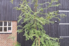 20180609_082356