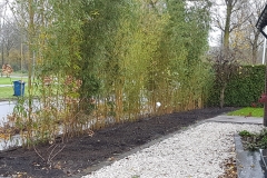 erfafscheiding-1